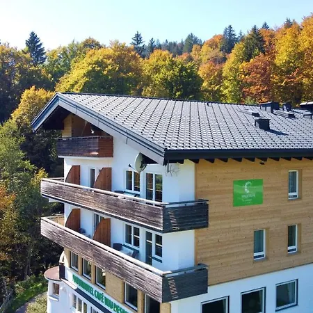 Готель Naturhotel Cafe Waldesruhe 4*